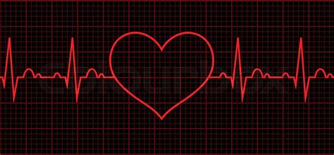 Heart Beat Cardiogram Cardiac Cycle Stock Vector Colourbox