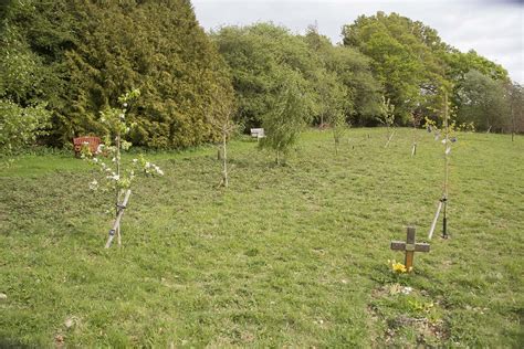 Hawkhurst Traditional And Woodland Cemetery Hawkhurst Parish Council