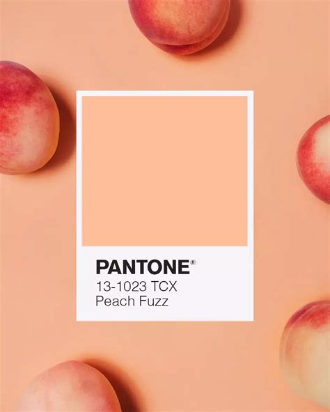 Peach Fuzz è Il Colore Pantone Dellanno 2024 Nel 2024 Schemi Di