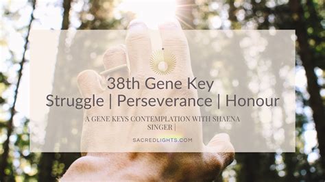 38th Gene Key Struggle Perseverance Honour Gene Keys