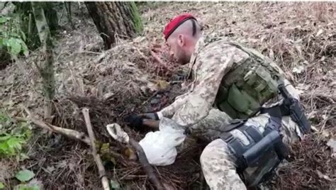 Reggio Calabria Controlli A Tappeto In Aspromonte E In Provincia