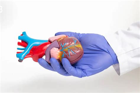 Best Coronary Artery Bypass Grafting Hospital In Noida Delhi Ncr