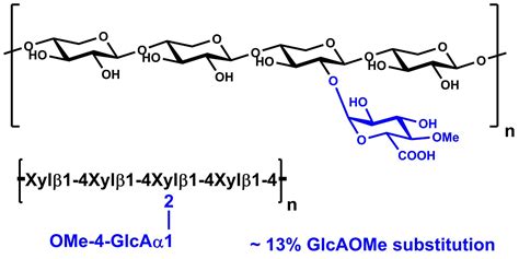 Xylan Beechwood Polysaccharides for use in research | Megazyme