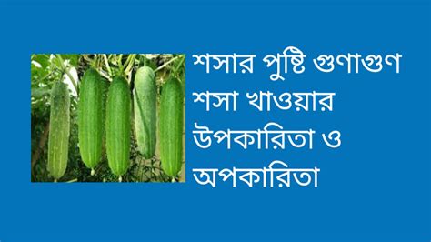 easy info bd