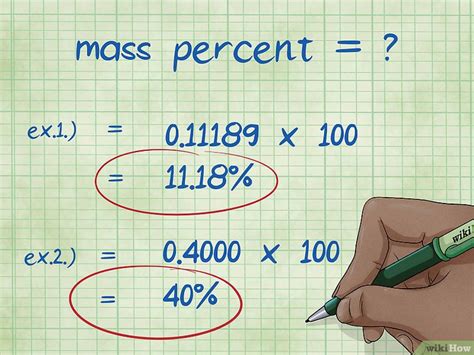 Den Masseanteil Berechnen 13 Schritte Mit Bildern Wikihow