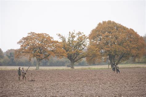 Pheasant Shooting Tips How To Improve Your Technique ShootingUK