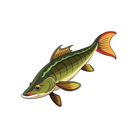 Vivid Burbot Fish Colorful Artistic Representation 57804267 Vector Art