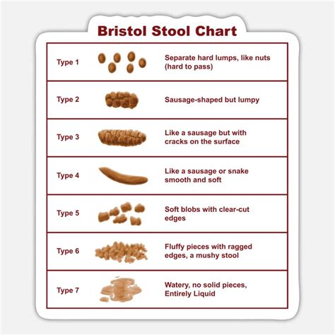 Bristol Stool Chart Tranetbiologiaufrjbr