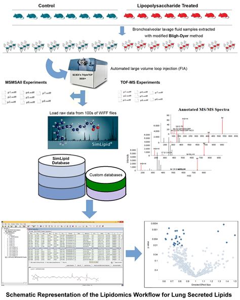 Lipid Profiling Using Shotgun Lipidomics SimLipid