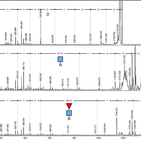 Maldi Ms Ms Spectra Of Different Forms Of Eg2 Hfc S Tryptic Peptide Download Scientific Diagram