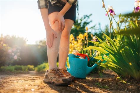 Allergies And Insect Bites Concept Person Scratches Her Legs Which Is