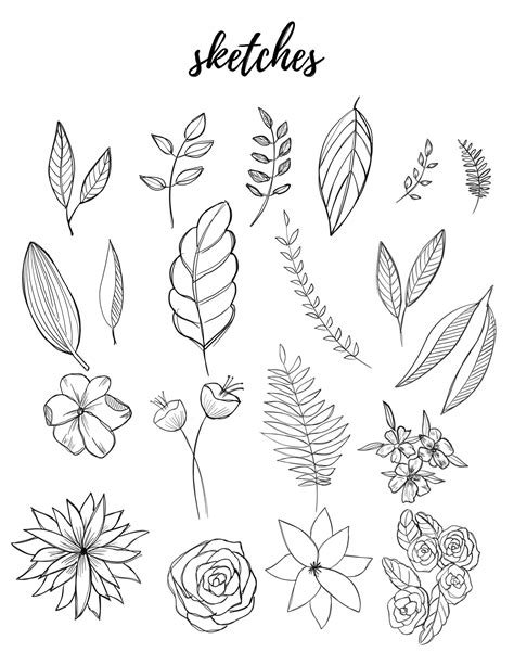 Bullet Journaling Liz Kohler Botanical Line Drawing Botanical