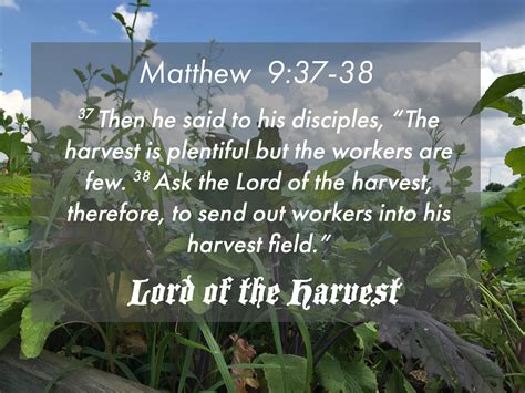 Lord Of The Harvest 7217 — Radiant Christian Life Church