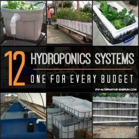 hydroponics-systems - Homestead & Survival