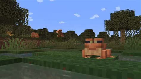 Minecraft Frogs: How to find and breed Frogs in Minecraft 1.19 | Rock Paper Shotgun