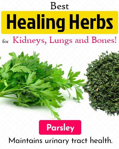 Healing Herbs For Your Good Health Of Kidneys Lungs And Bones