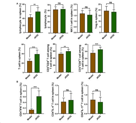 Flow Cytometry Of The Immune Cells In Spleen Compared With The Model