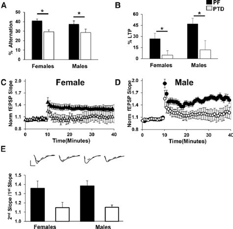 Independent Of Sex Thiamine Deficiency Led To Impaired Spontaneous