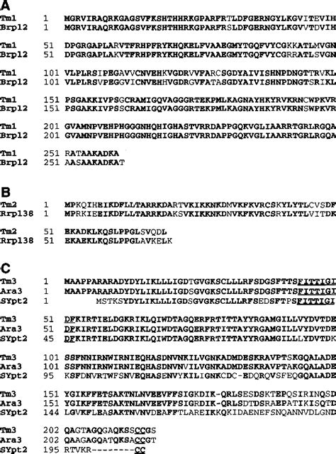 Figure 3 from The patterns of gene expression in the tomato shoot ... 