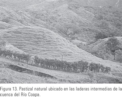 Descripción biofísica de la cuenca del río Coapa Chiapas