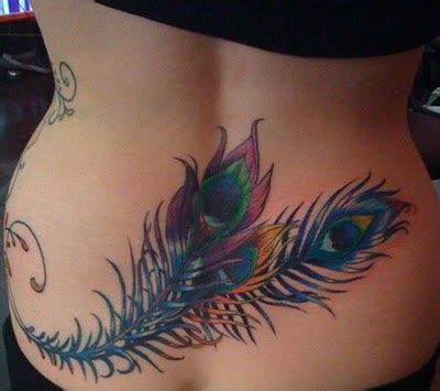 Tattoo Borboleta: Feather Tattoos Gallerys