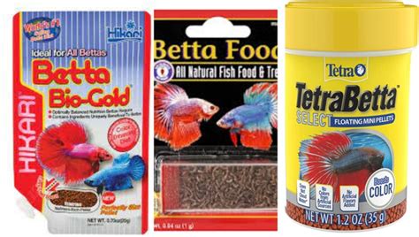 Best Betta Fish Food Quantity Quality Feeding