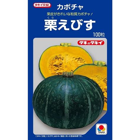 栗えびす 100粒 カボチャ種子 【南瓜の種】【タキイのタネ】【野菜の種】 606 吉谷農芸yahoo店 通販 Yahoo