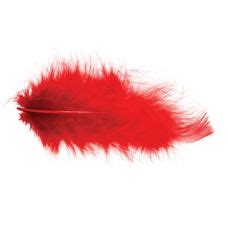 Pochette Plumes 5 10 Cm 10g Rouge Accessoire De Fetes Pas Cher Badaboum