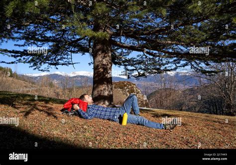 Man Sleeping Under A Tree Side View Banque De Photographies Et Dimages