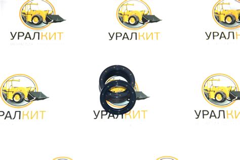 Сальник 40-56-6/6.5 TCN11 NAK (TW) NBR купить в Екатеринбурге - УралКит