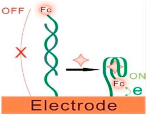 E Schematic Illustration Of Enzymatic Biosensor Based On A Mediated