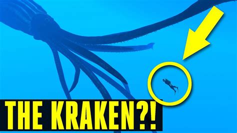 STAY AWAY GIANT SQUID WILL VIOLATE YOU FIRST LOOK Ark Survival