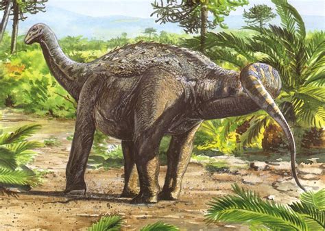 Saltasaurus Loricatus Prehistoric World Prehistoric Creatures Land