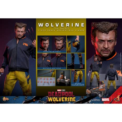 Arriloe26Q1還可追加預購一名 野獸國 Hot Toys MMS756 金鋼狼 外套版 死侍與金鋼狼 電影版 蝦皮購物