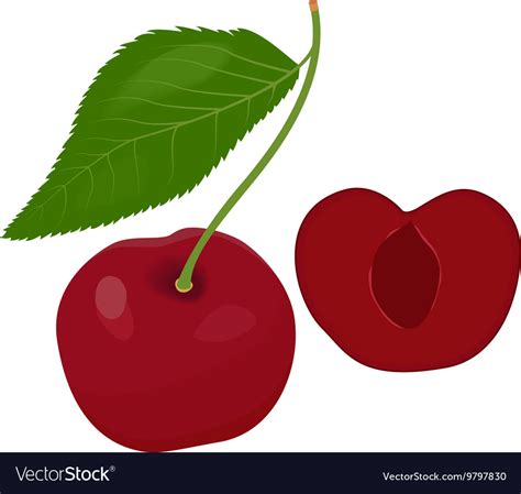 Ripe Red Cherry Berries With Leaves Royalty Free Vector