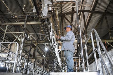 Persiapan Rumah Potong Hewan Jelang Idul Adha Antara Foto