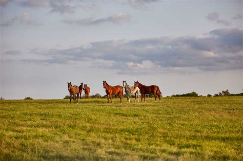 Kentucky Bourbon Trail:Distilled stories | OutThere magazine