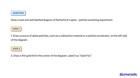 Solved Draw A Neat And Well Labelled Diagram Of Rutherfords Alpha