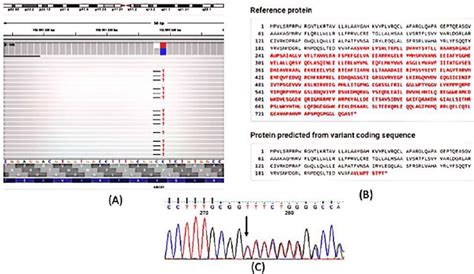 A Snapshot Of Igv Integrative Genomics Viewer Showing Delins