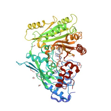 RCSB PDB 6YAQ Crystal Sttructure Of ZmCKO8 In Complex With Inhibitor