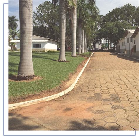 Company Artefatos Para Lingerie Terlizzi