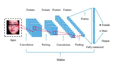 Color Online Structure Of Basic Cnns Download Scientific Diagram