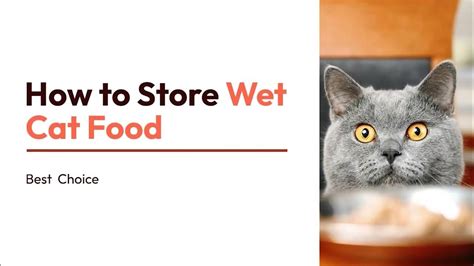 How To Store Wet Cat Food 11 Steps How To Store Wet Cat Food Best