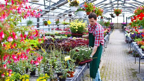 Horticulture Courses Melbourne | Melbourne Polytechnic