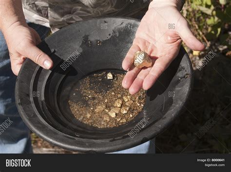 Man Finding Gold Image And Photo Free Trial Bigstock