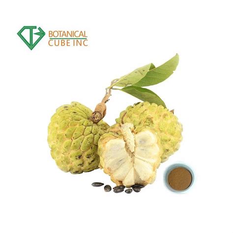 Factory Supply Graviola Fruit Extract Soursop Powder Banaba Leaf Extract - Buy Graviola Extract ...