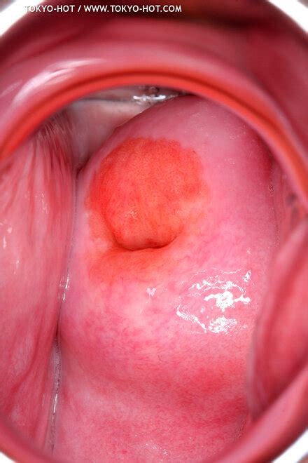 Tokyo Hot N Set Momoko Oishi Porn Pic