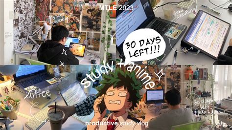 VOL 08 Study Anime Productive Study Vlog MTLE 2023 Board Exam