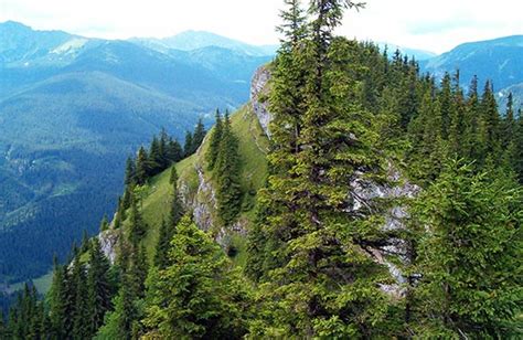 Hiking in Low Tatras in Slovakia