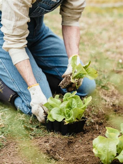 7 profissões para quem quer trabalhar no campo Canal Agro Estadão